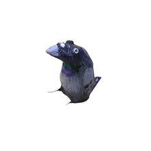 City Pigeon