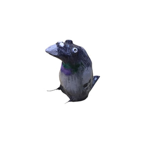 City Pigeon