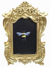 Bees in Gold Frames