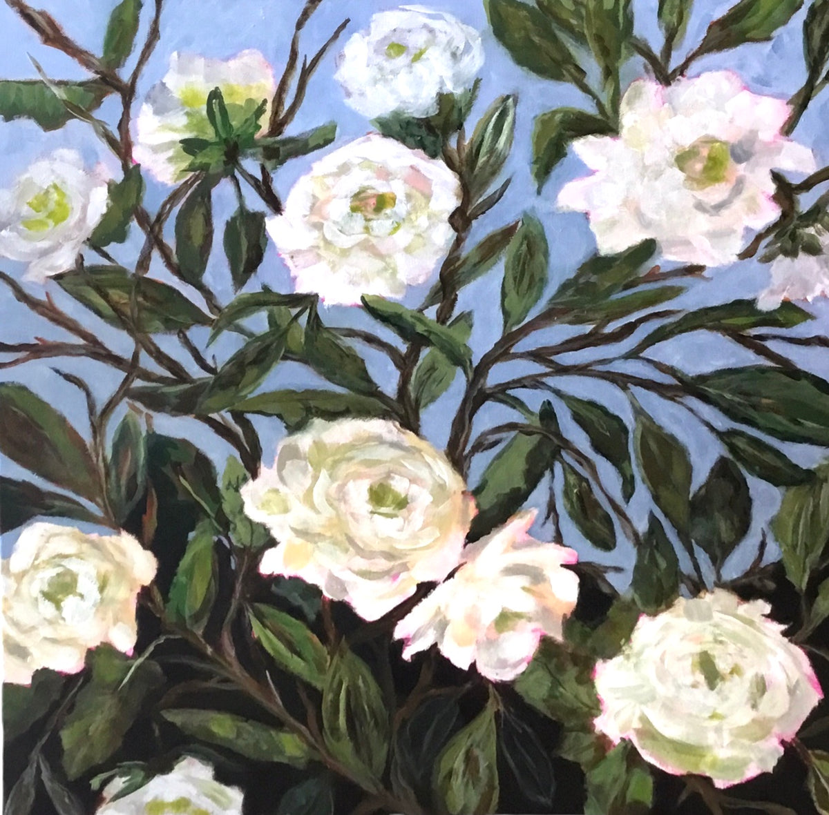 Cherokee Rose – Wild Oats & Billy Goats Decatur