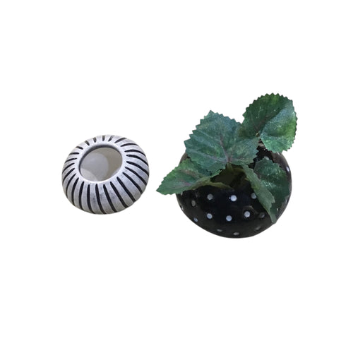 Air Plant Pot