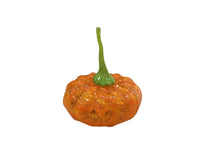 Light orange mix pumpkin