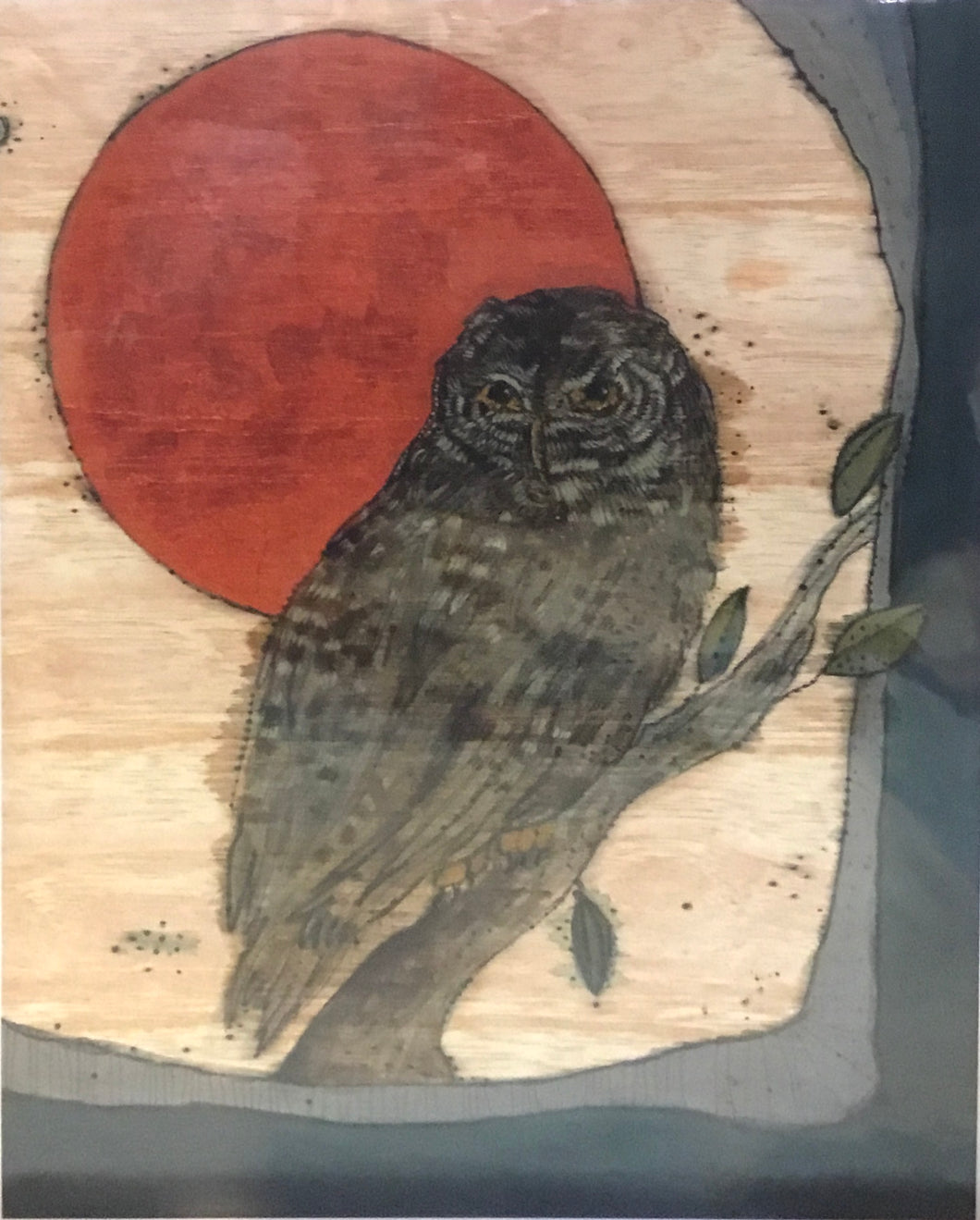 Barred owl copper moon