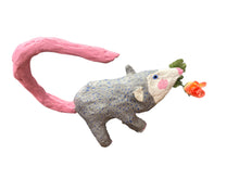 Patsy the Possum