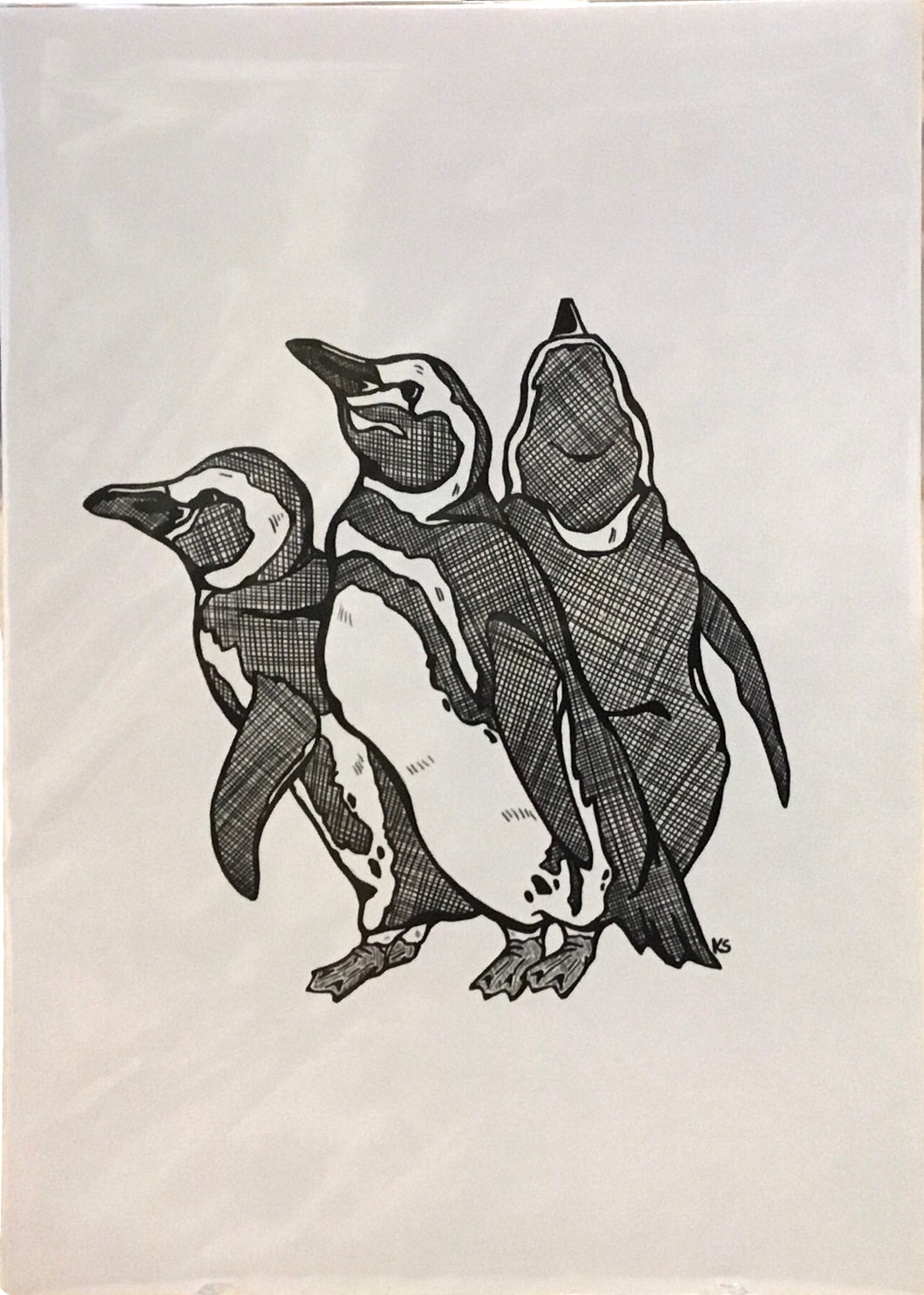 Puffin Print