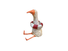 Ducks with Swim Tube