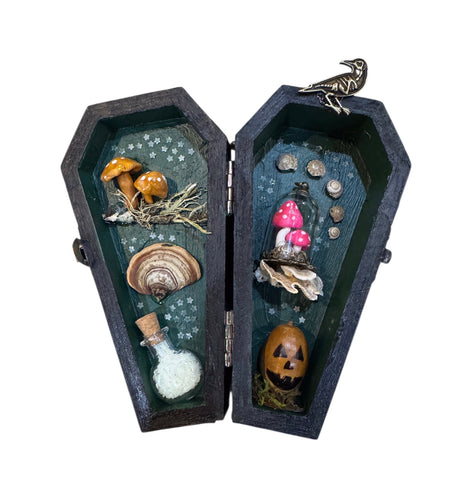 Coffin Curio Shelf - Toadstools