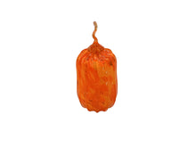 Orange Pumpkin