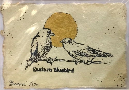 Gold moon easter bluebird