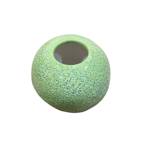 Air Plant Pot
