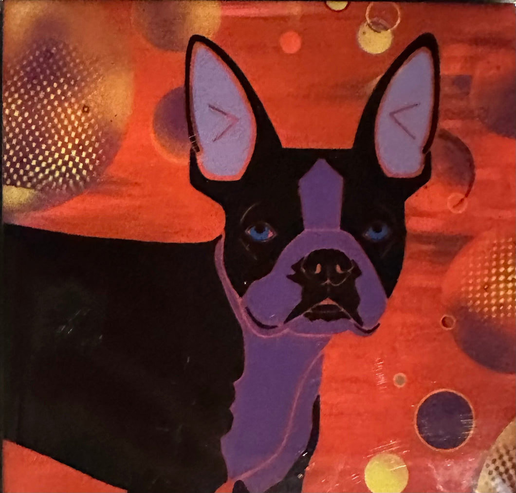 Boston Terrier Face Coaster