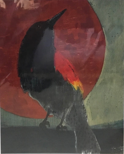 Red winged black bird