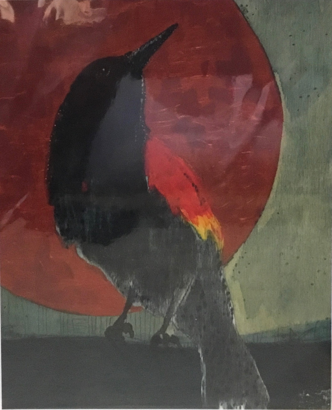 Red winged black bird