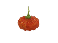 Dark orange/Yellow pumpkin