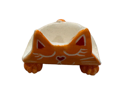 Cat--Orange with Heart Nose, Sleeping