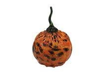 Black and red mix pumpkin