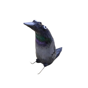 City Pigeon
