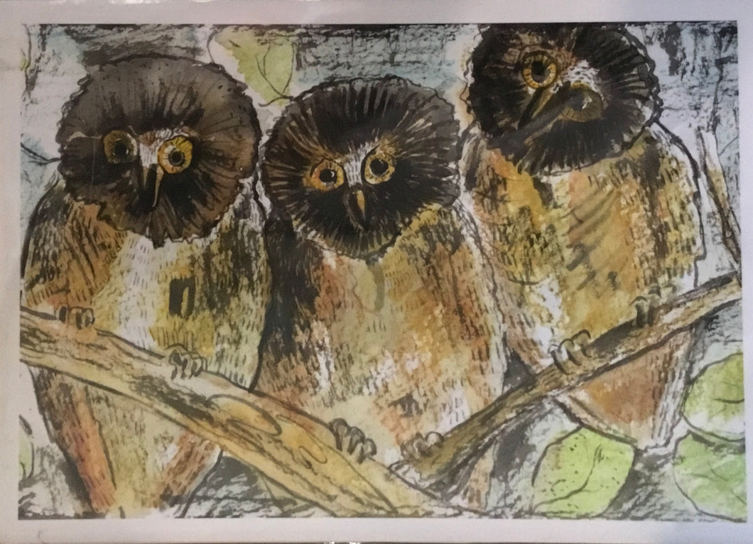 Northern saw whet owl