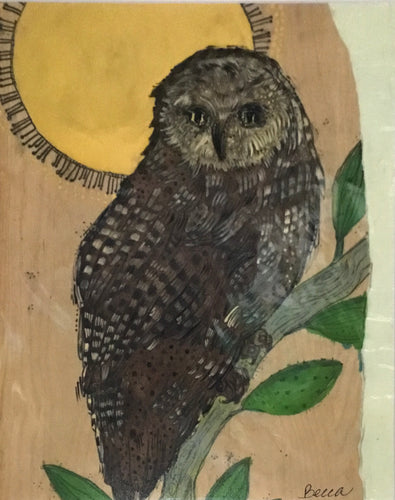 Barned owl night