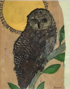 Barned owl night