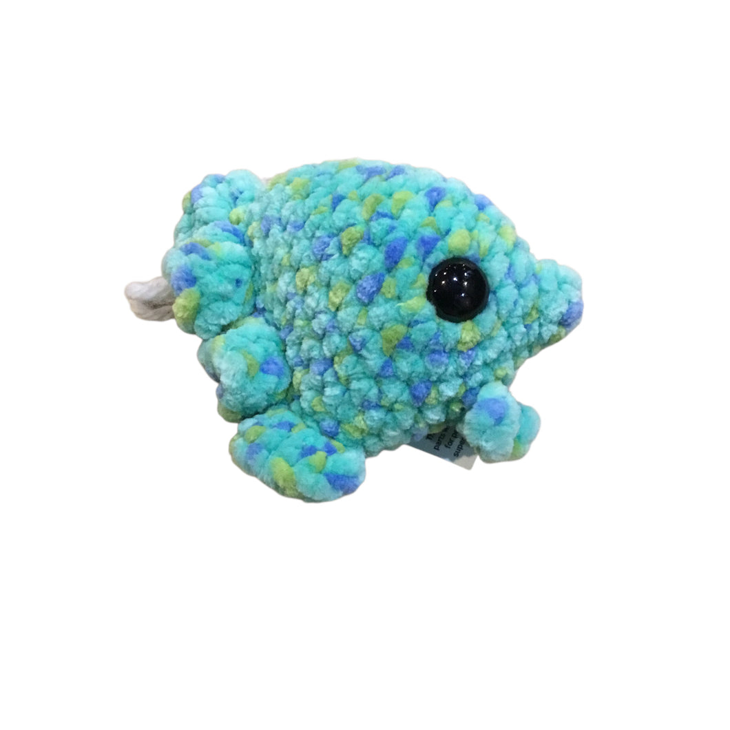 Angel Fish-Green/Blue