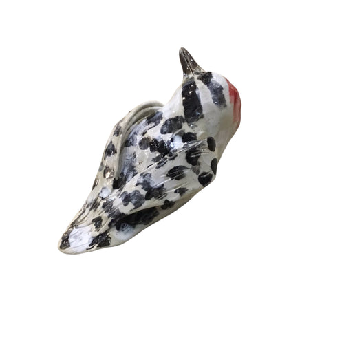 Black and White Bird