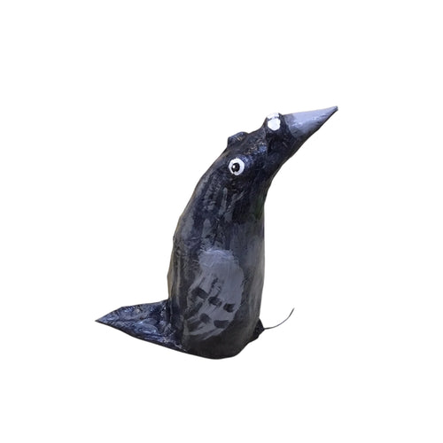 City Pigeon