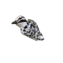 Black and White Bird