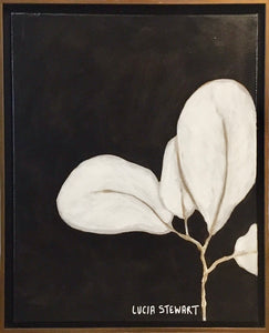 White Magnolia