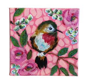 Bashful Bird