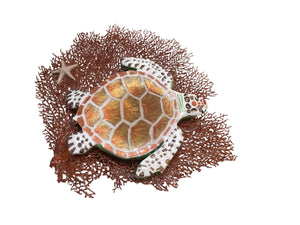 Sea Turtle on Coral Fan