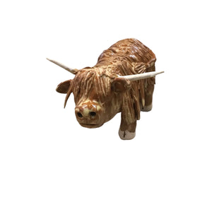 Highland Cow