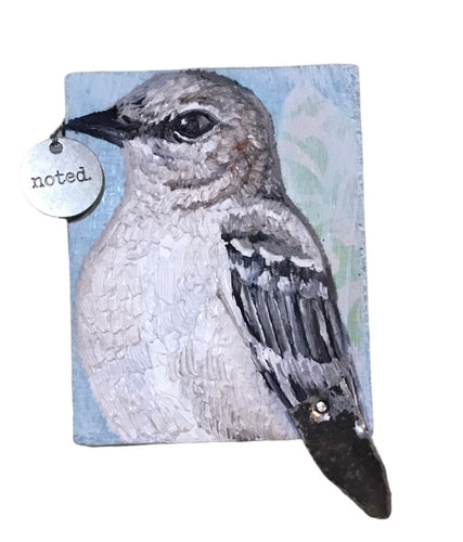 Northern Mockingbird