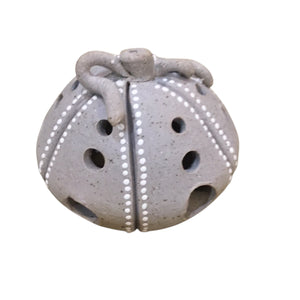 Gray Pumpkin