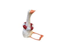 Ducks with Swim Tube