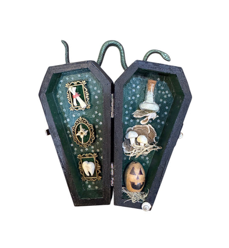 Coffin Curio Shelf - Bones