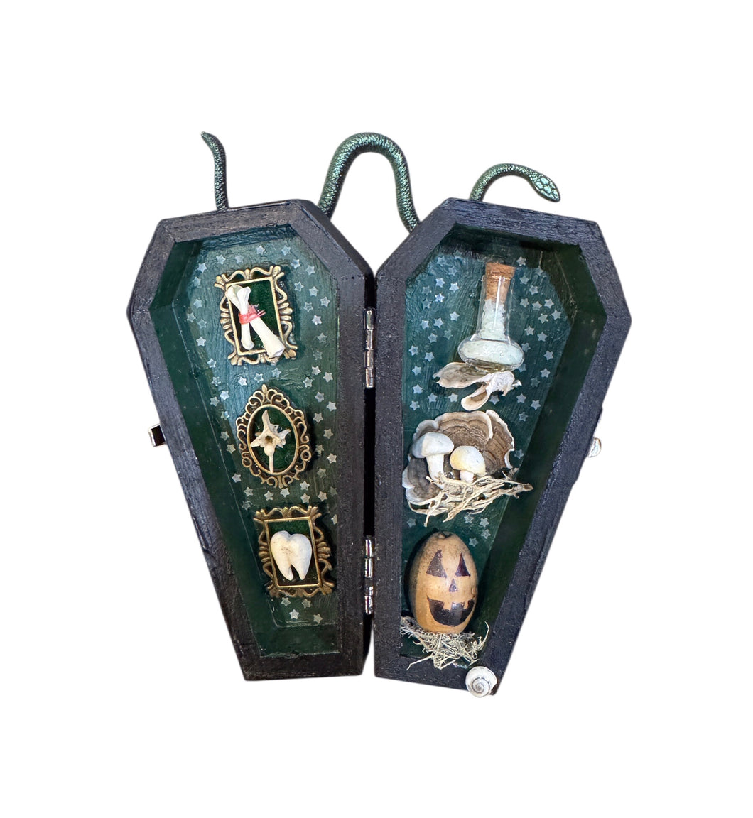Coffin Curio Shelf - Bones