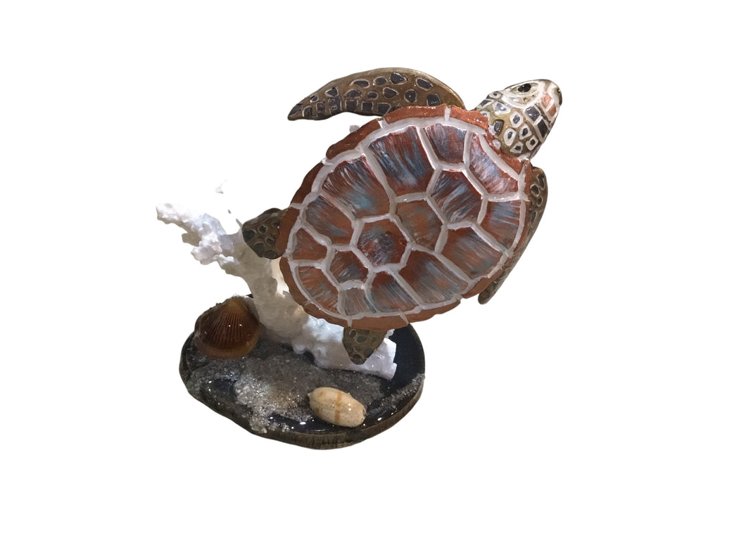 Turtle on Coral