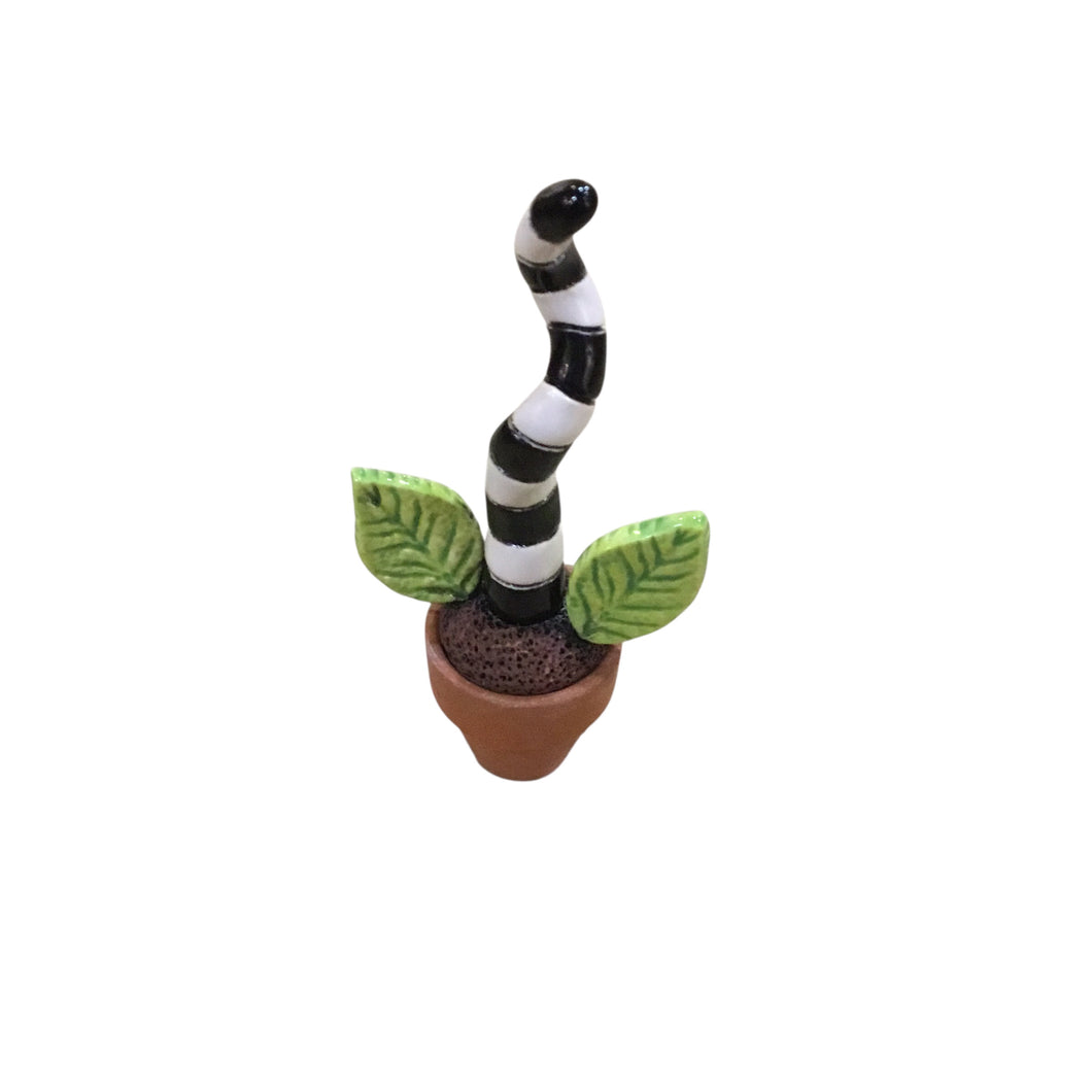 Black and White Plants