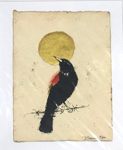 Red winged black bird