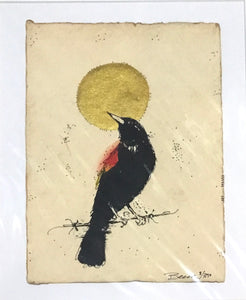 Red winged black bird