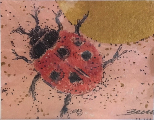 Lady bug