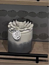 XL Flower Candle- Cactus Flower