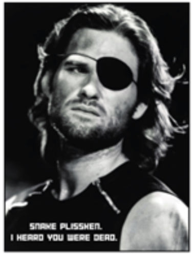 Escape From New York Fridge Magnet