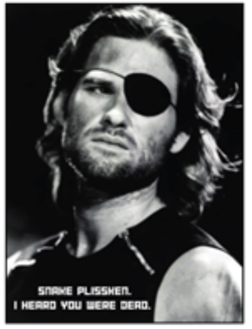 Escape From New York Fridge Magnet