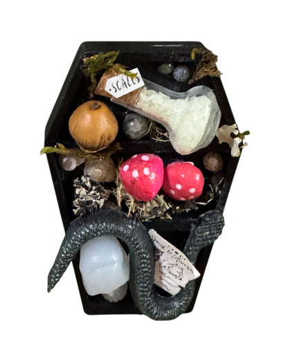Mini Coffin Curio Shelf Fridge Magnet - Speak to Animals Spell