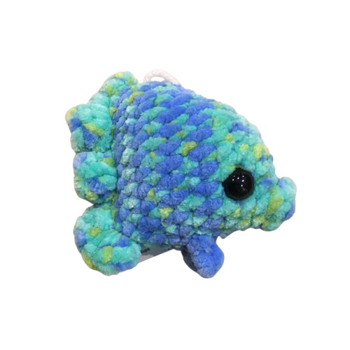 Angle Fish-Blue/Green