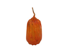 Dark orange/Yellow pumpkin