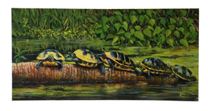 Turn Turtle Turn