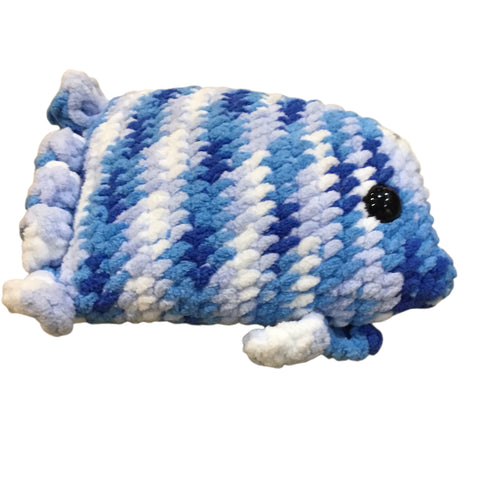 Angel Fish-Multi/Blue